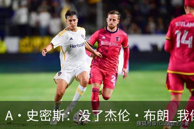 A·史密斯:没了杰伦·布朗 我倒要看看塔图姆能带凯尔特人走多远